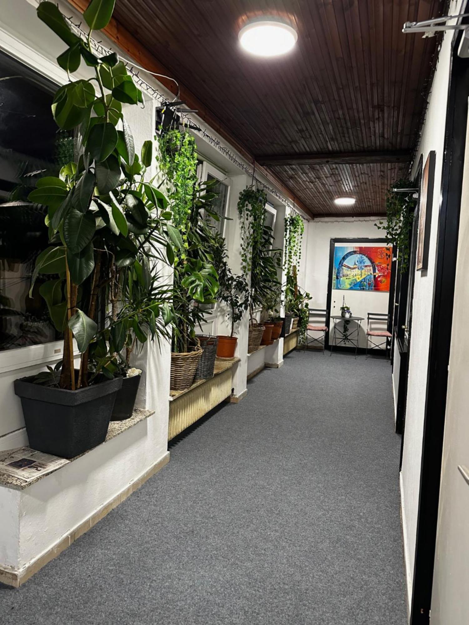 Hostel Lovely Rooms, City Center, Shared Bathroom, Windows To Corridor Villach Exteriér fotografie