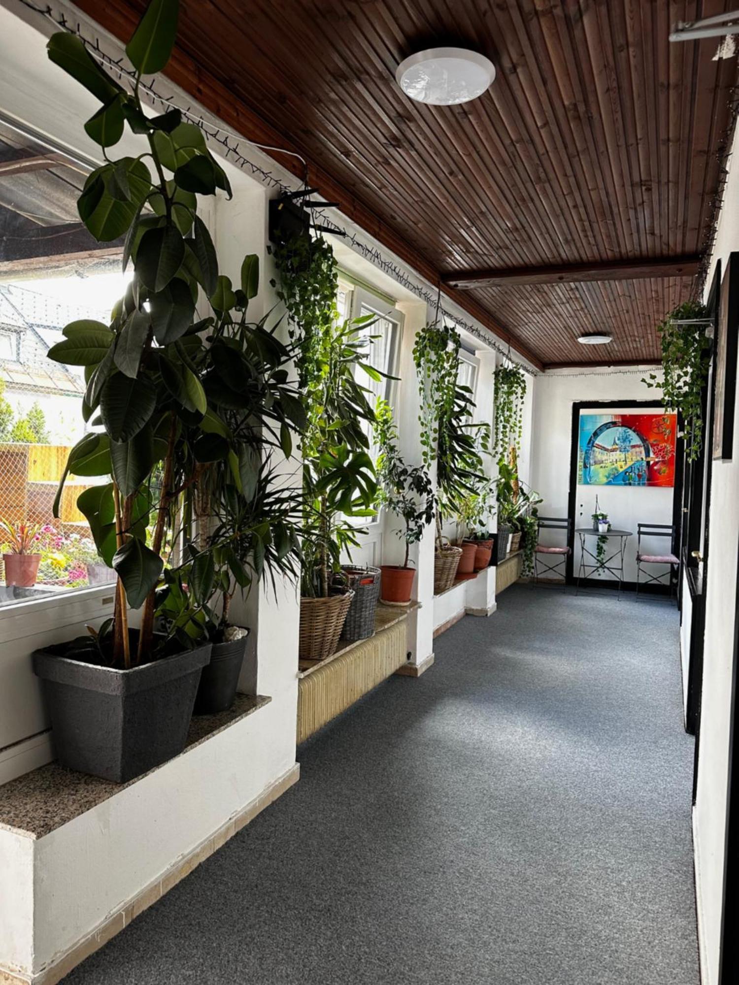 Hostel Lovely Rooms, City Center, Shared Bathroom, Windows To Corridor Villach Exteriér fotografie